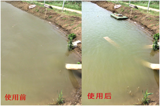 渾濁水、對蝦吃料差怎么處理？